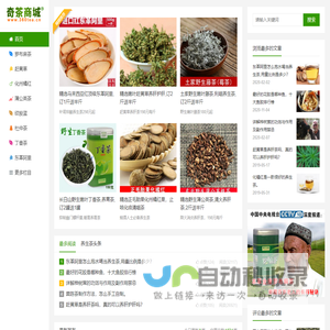 养生茶-养肝茶-降压茶 - 奇茶荟原生态奇茶商城